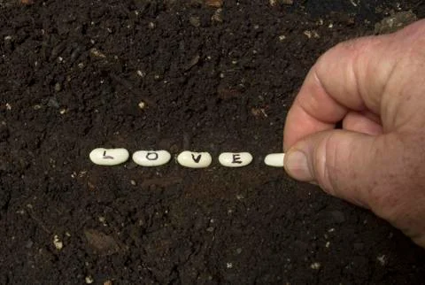 Sowing The Seeds Of Love Stock Photos