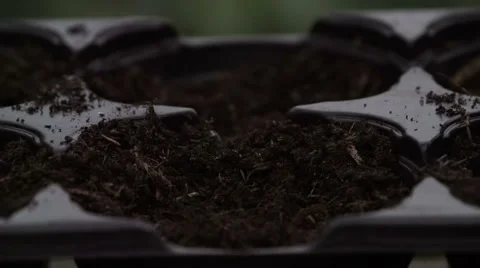 Sowing seeds in springtime using planting pots with compost Stock Footage 60224441