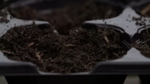 Sowing seeds in springtime using planting pots with compost Stock Footage 60224487