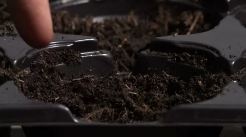 Sowing seeds in springtime using planting pots with compost Stock Footage 60224585