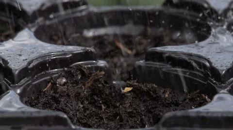 Sowing seeds in springtime using planting pots with compost Stock Footage 60224802