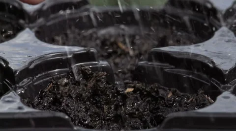 Sowing seeds in springtime using planting pots with compost Stock Footage 60224897
