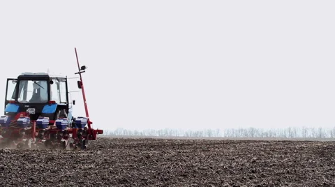 Sowing of sugar beet Vídeo Stock 62640018