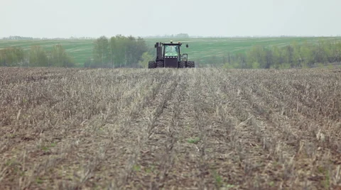 Sowing of sweet corn by using contemporary agricultural machinery Stock Footage 61605688