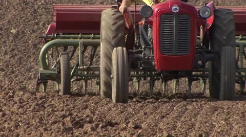 Sowing wheat with small tractor Stock-Footage 56706454