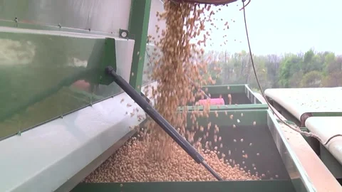 Sowing work in the field with agronomic units Stock-Footage 146962842