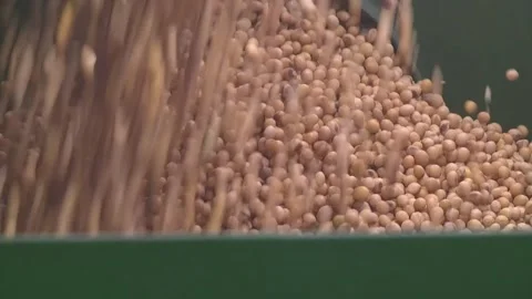 Sowing work in the field with agronomic units Stock Footage 146962850