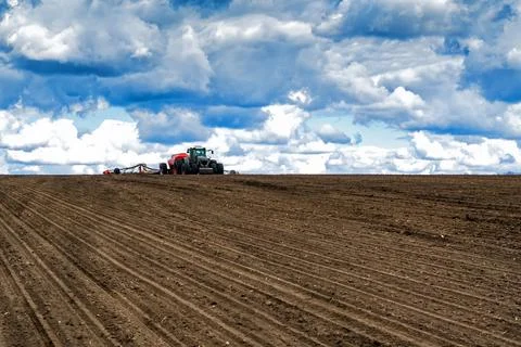 Sowing work in the field in spring. Tractor with seeder Foto stock