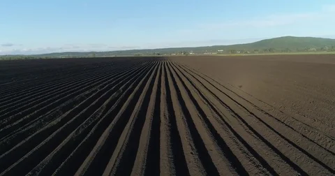 Sown field Stock Footage 76124755