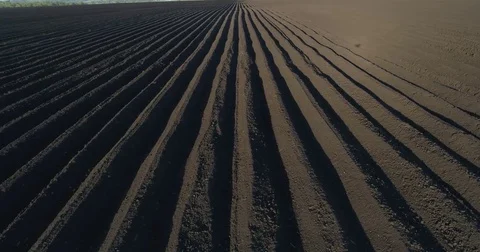 Sown field Stock Footage 76125937