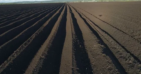 Sown field Stock Footage 76131082