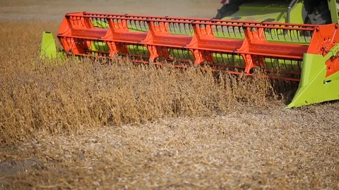 Soy bean combine harvester working in soybean field Stock Footage 107270107