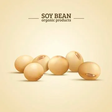 Soy bean elements Stock Illustration