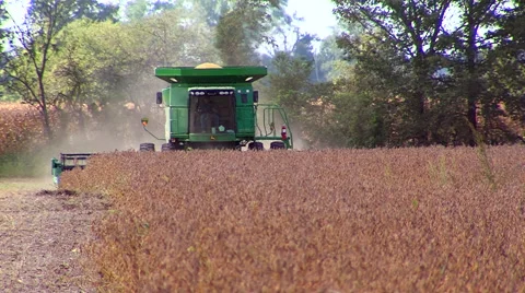 Soy Bean Farming 2 Video stock 46587187