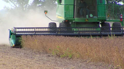 Soy Bean Farming 3 Video stock 46586957