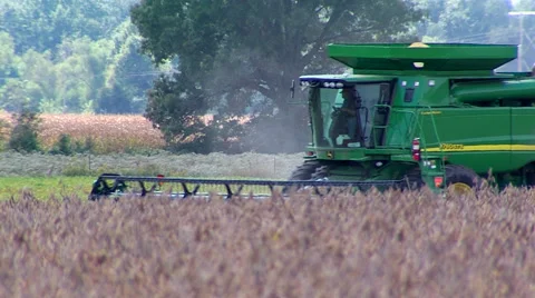 Soy Bean Farming 4 Video stock 46587429