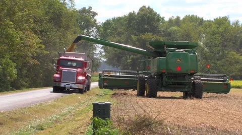 Soy Bean Farming 6 Video stock 46587700
