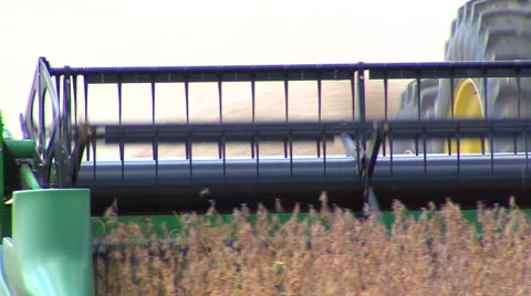 Soy Bean Farming 7 Video stock 46587473