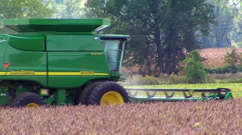 Soy Bean Farming Video stock 46587270