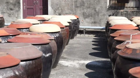 Soy bean fermented in the clay pot to make soy sauce Stock Footage 60949490