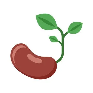 Soy bean with leaf icon in flat style. Soybean vector illustration on isola.. Stock Illustration