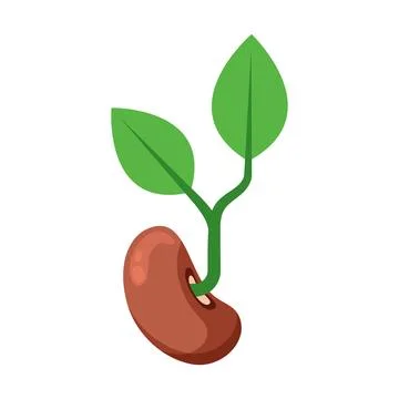 Soy bean with leaf icon in flat style. Soybean vector illustration on isola.. Stock Illustration