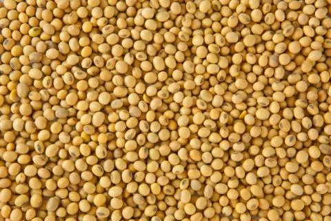 Soy bean pattern Stock Photos