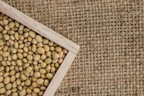 Soy bean on the sacks background. Stock Photos