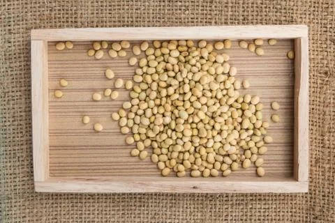 Soy bean on the sacks background. Stock Photos