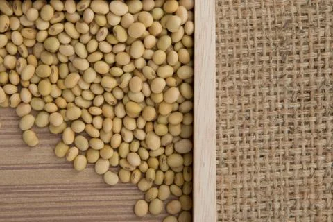 Soy bean on the sacks background. Foto stock
