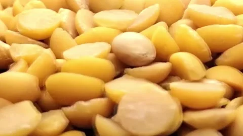 Soy bean seeds Stock Footage 281503444