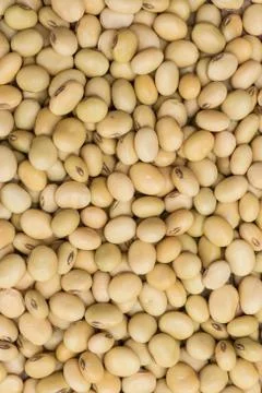 Soy beans background Stock Photos