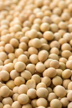 Soy beans background Stock Photos