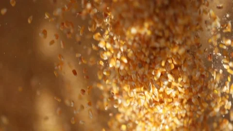 Soy beans Stock Footage 93804444