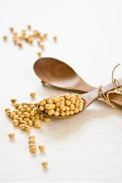 Soy beans Stock Photos