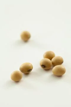 Soy beans Stock Photos