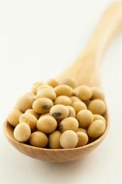 Soy beans Stock Photos