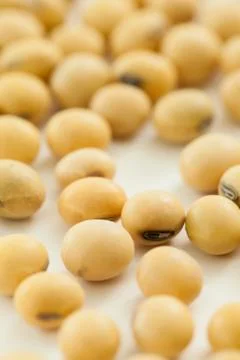 Soy beans Stock Photos
