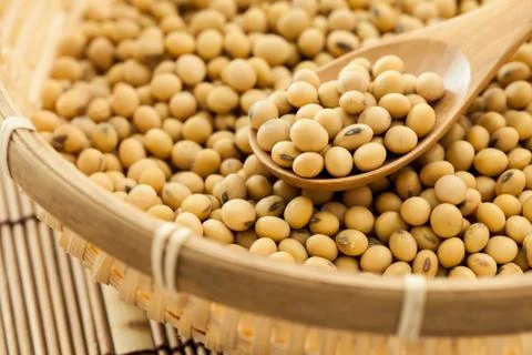 Soy beans Stock Photos