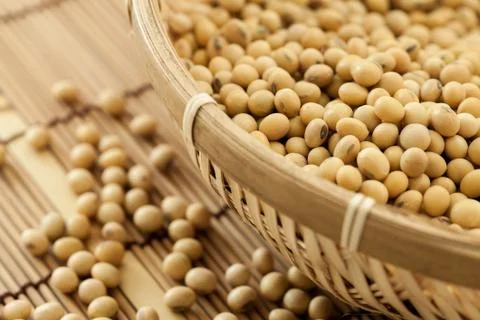 Soy beans Stock Photos
