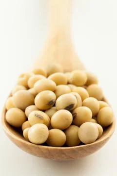 Soy beans Foto stock
