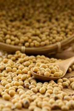 Soy beans Foto stock