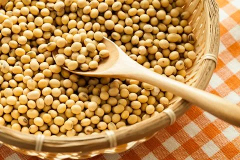 Soy beans Stock Photos