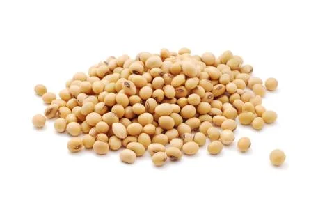 Soy beans Stock Photos