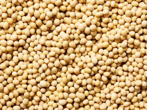 Soy beans Stock Photos
