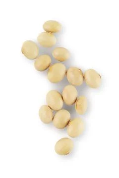 Soy Beans Stock Photos