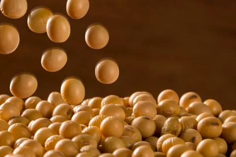 Soy beans Stock Photos