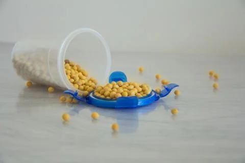 Soy beans Stock Photos