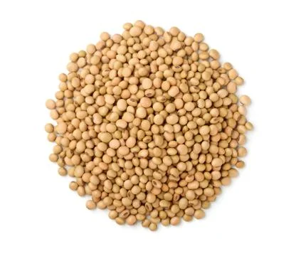 Soy beans Stock Photos