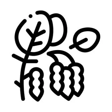 Soy beans plant icon vector outline illustration Illustrazione stock
